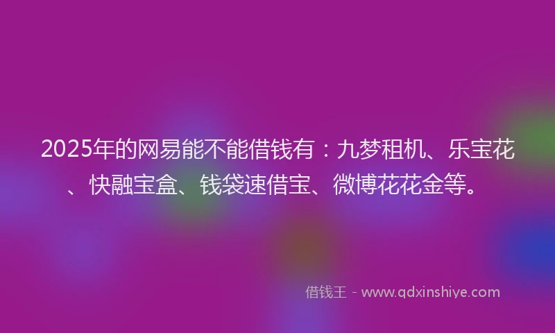 2025年的网易能不能借钱有：九梦租机、乐宝花、快融宝盒、钱袋速借宝、微博花花金等。