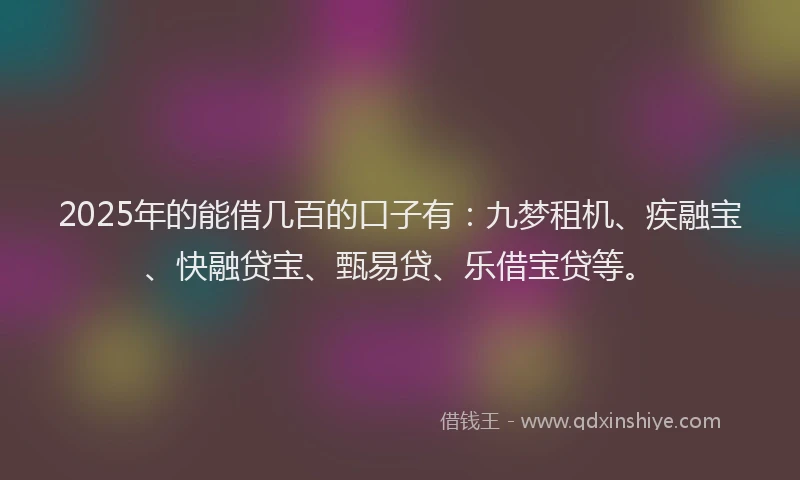 2025年的能借几百的口子有：九梦租机、疾融宝、快融贷宝、甄易贷、乐借宝贷等。