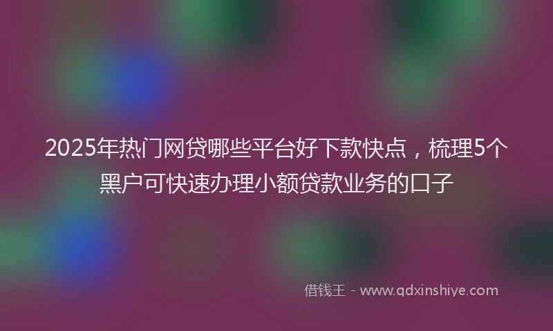 2025年热门网贷哪些平台好下款快点，梳理5个黑户可快速办理小额贷款业务的口子