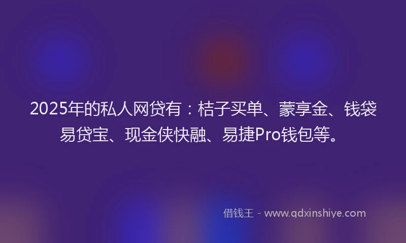 2025年的私人网贷有：桔子买单、蒙享金、钱袋易贷宝、现金侠快融、易捷Pro钱包等。
