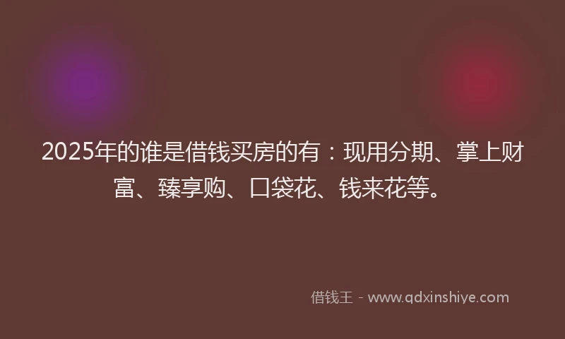 2025年的谁是借钱买房的有：现用分期、掌上财富、臻享购、口袋花、钱来花等。