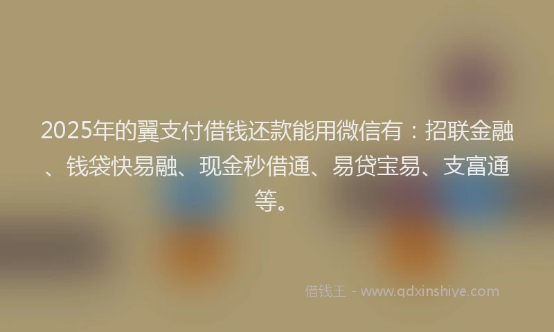 2025年的翼支付借钱还款能用微信有：招联金融、钱袋快易融、现金秒借通、易贷宝易、支富通等。