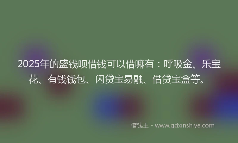 2025年的盛钱呗借钱可以借嘛有：呼吸金、乐宝花、有钱钱包、闪贷宝易融、借贷宝盒等。
