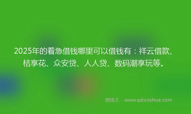 2025年的着急借钱哪里可以借钱有：祥云借款、桔享花、众安贷、人人贷、数码潮享玩等。