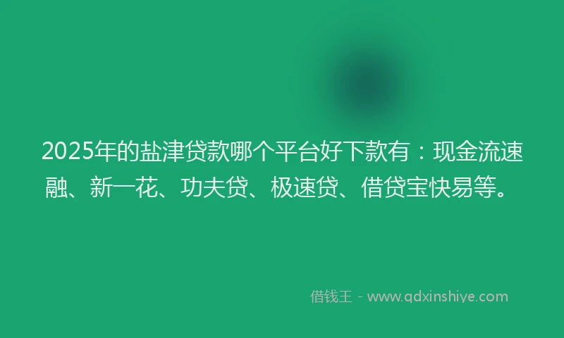 2025年的盐津贷款哪个平台好下款有：现金流速融、新一花、功夫贷、极速贷、借贷宝快易等。