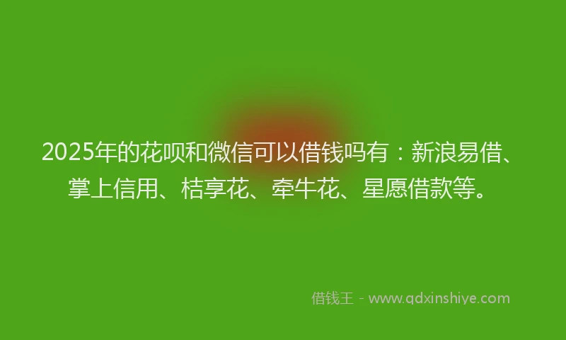 2025年的花呗和微信可以借钱吗有：新浪易借、掌上信用、桔享花、牵牛花、星愿借款等。