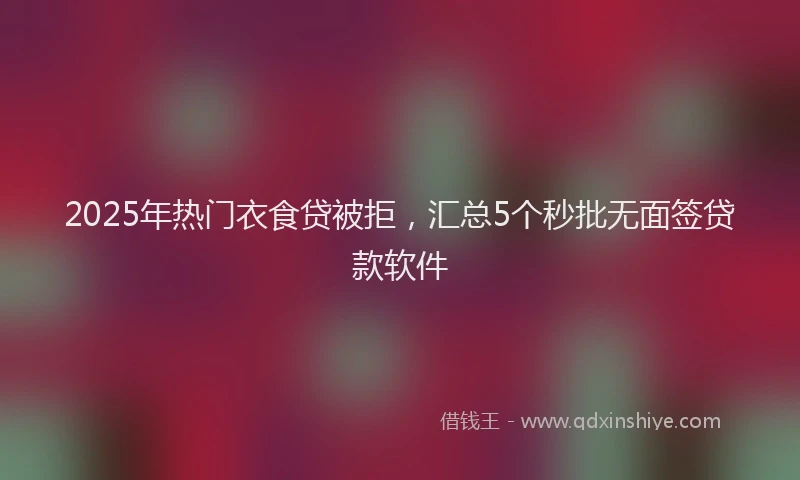 2025年热门衣食贷被拒，汇总5个秒批无面签贷款软件
