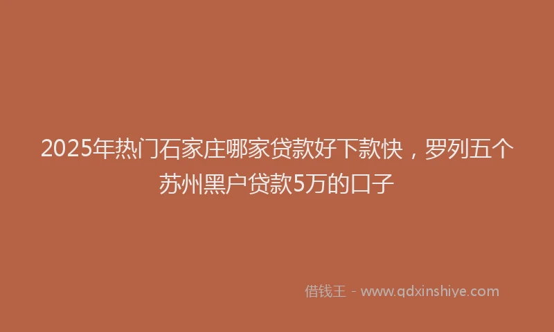 2025年热门石家庄哪家贷款好下款快，罗列五个苏州黑户贷款5万的口子