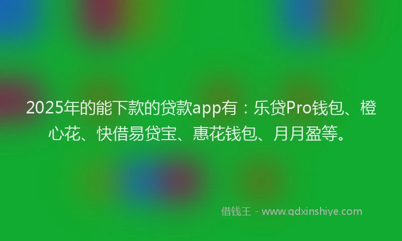 2025年的能下款的贷款app有：乐贷Pro钱包、橙心花、快借易贷宝、惠花钱包、月月盈等。