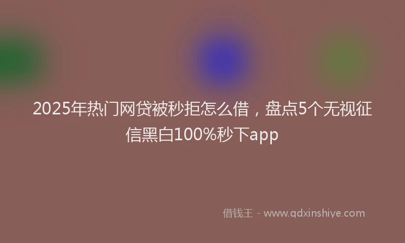 2025年热门网贷被秒拒怎么借，盘点5个无视征信黑白100%秒下app