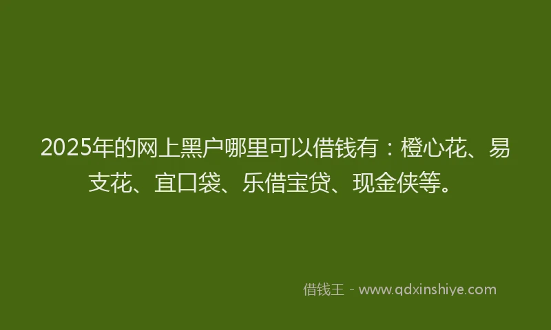 2025年的网上黑户哪里可以借钱有：橙心花、易支花、宜口袋、乐借宝贷、现金侠等。