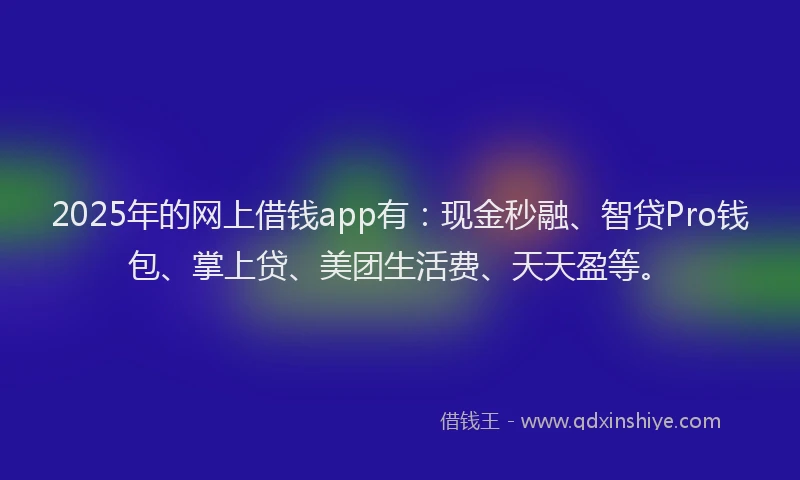 2025年的网上借钱app有：现金秒融、智贷Pro钱包、掌上贷、美团生活费、天天盈等。