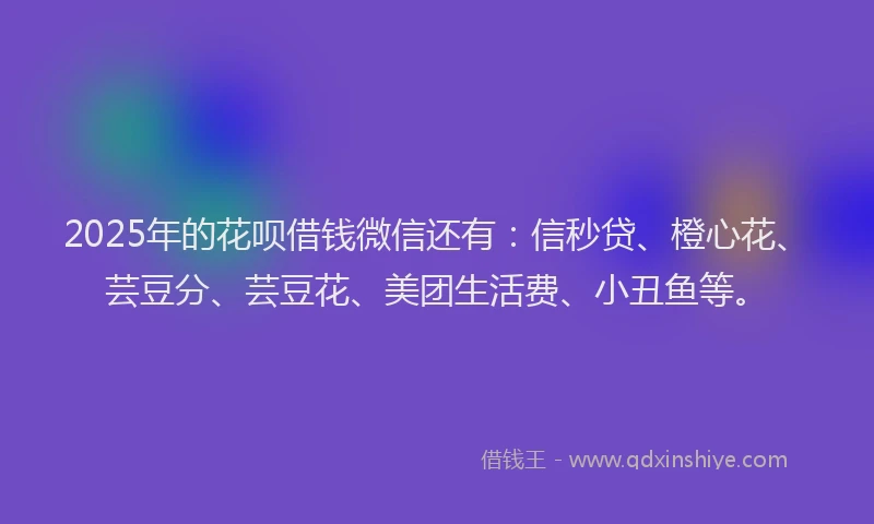 2025年的花呗借钱微信还有：信秒贷、橙心花、芸豆分、芸豆花、美团生活费、小丑鱼等。