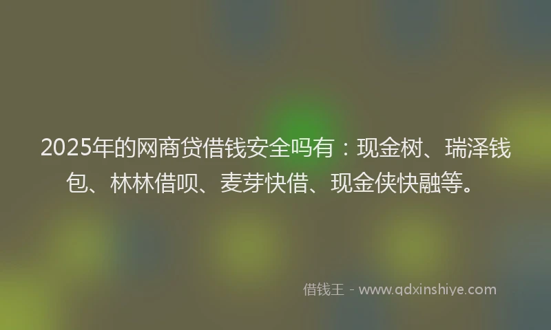 2025年的网商贷借钱安全吗有：现金树、瑞泽钱包、林林借呗、麦芽快借、现金侠快融等。