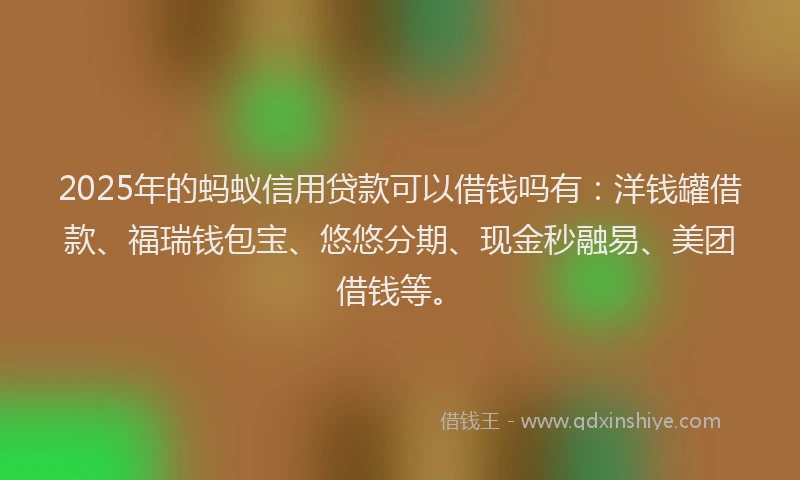 2025年的蚂蚁信用贷款可以借钱吗有：洋钱罐借款、福瑞钱包宝、悠悠分期、现金秒融易、美团借钱等。