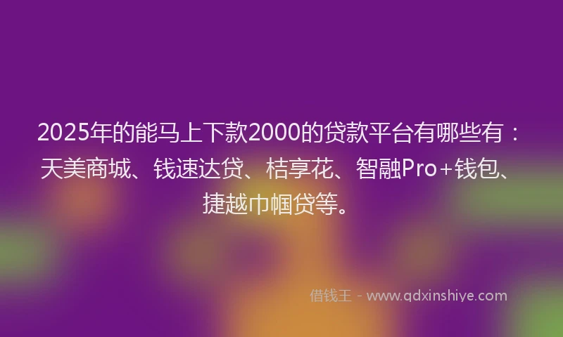 2025年的能马上下款2000的贷款平台有哪些有：天美商城、钱速达贷、桔享花、智融Pro+钱包、捷越巾帼贷等。