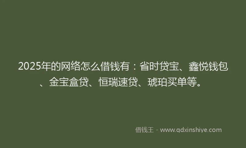 2025年的网络怎么借钱有：省时贷宝、鑫悦钱包、金宝盒贷、恒瑞速贷、琥珀买单等。