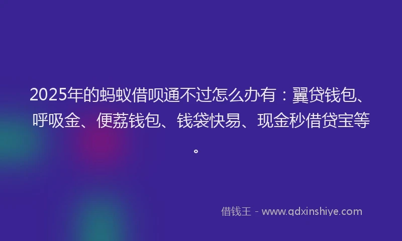 2025年的蚂蚁借呗通不过怎么办有：翼贷钱包、呼吸金、便荔钱包、钱袋快易、现金秒借贷宝等。