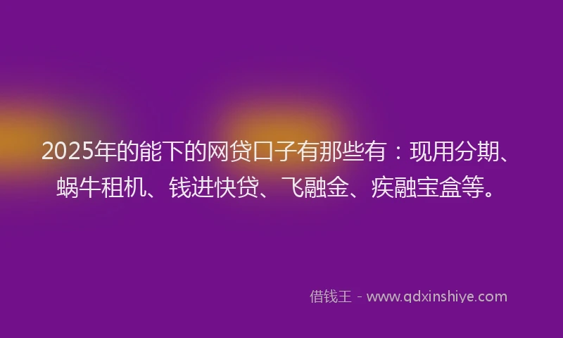2025年的能下的网贷口子有那些有：现用分期、蜗牛租机、钱进快贷、飞融金、疾融宝盒等。