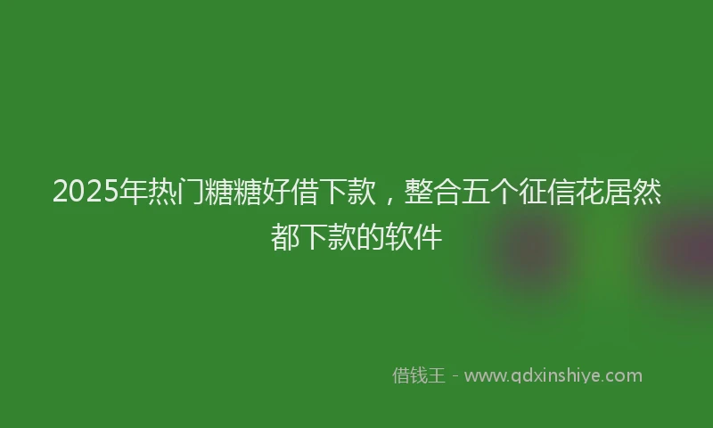 2025年热门糖糖好借下款，整合五个征信花居然都下款的软件