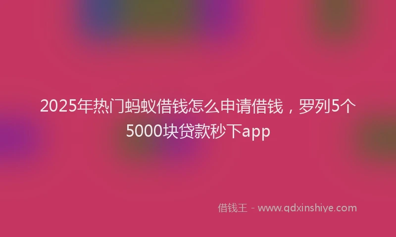 2025年热门蚂蚁借钱怎么申请借钱，罗列5个5000块贷款秒下app