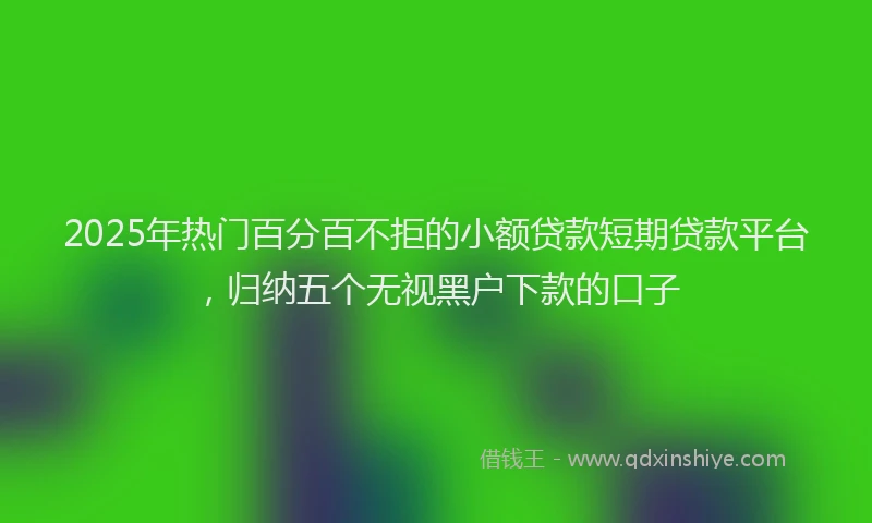 2025年热门百分百不拒的小额贷款短期贷款平台，归纳五个无视黑户下款的口子