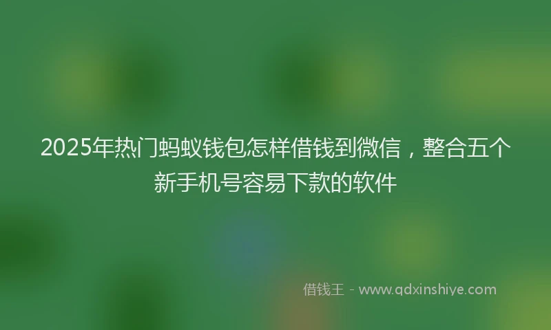 2025年热门蚂蚁钱包怎样借钱到微信，整合五个新手机号容易下款的软件