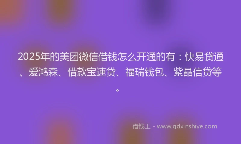 2025年的美团微信借钱怎么开通的有：快易贷通、爱鸿森、借款宝速贷、福瑞钱包、紫晶信贷等。