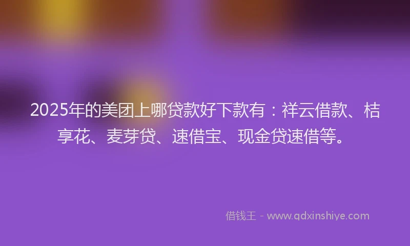 2025年的美团上哪贷款好下款有：祥云借款、桔享花、麦芽贷、速借宝、现金贷速借等。