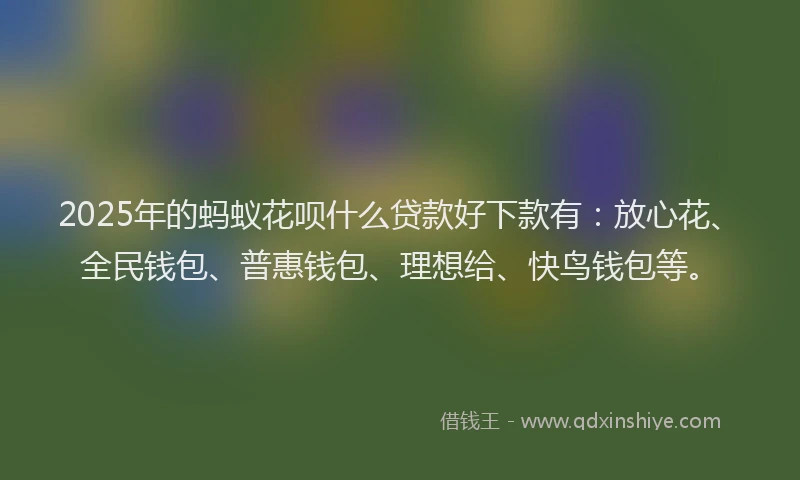 2025年的蚂蚁花呗什么贷款好下款有：放心花、全民钱包、普惠钱包、理想给、快鸟钱包等。