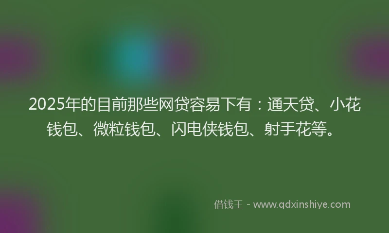 2025年的目前那些网贷容易下有：通天贷、小花钱包、微粒钱包、闪电侠钱包、射手花等。