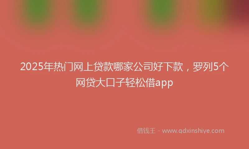 2025年热门网上贷款哪家公司好下款，罗列5个网贷大口子轻松借app
