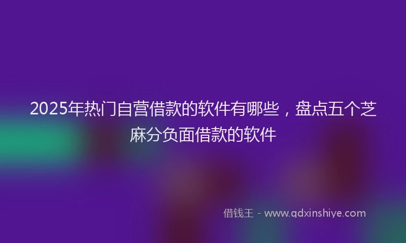2025年热门自营借款的软件有哪些，盘点五个芝麻分负面借款的软件