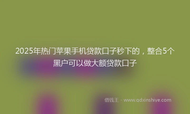 2025年热门苹果手机贷款口子秒下的，整合5个黑户可以做大额贷款口子