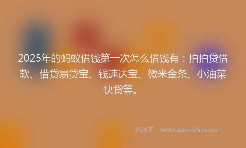 2025年的蚂蚁借钱第一次怎么借钱有：拍拍贷借款、借贷易贷宝、钱速达宝、微米金条、小油菜快贷等。