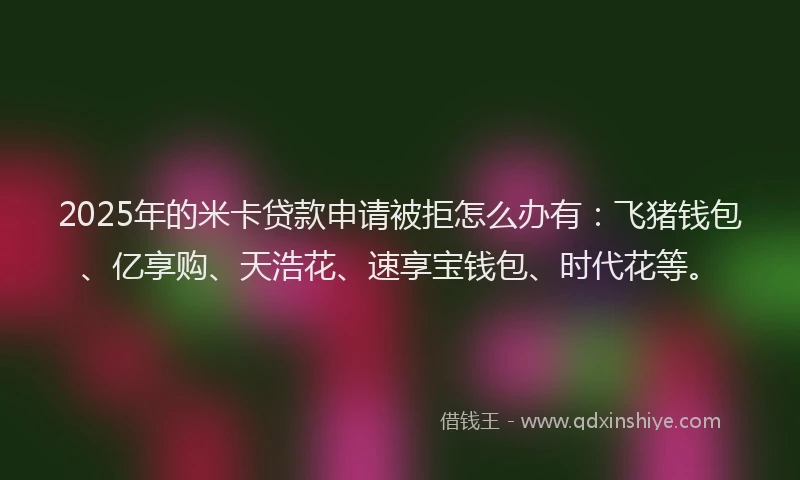 2025年的米卡贷款申请被拒怎么办有：飞猪钱包、亿享购、天浩花、速享宝钱包、时代花等。
