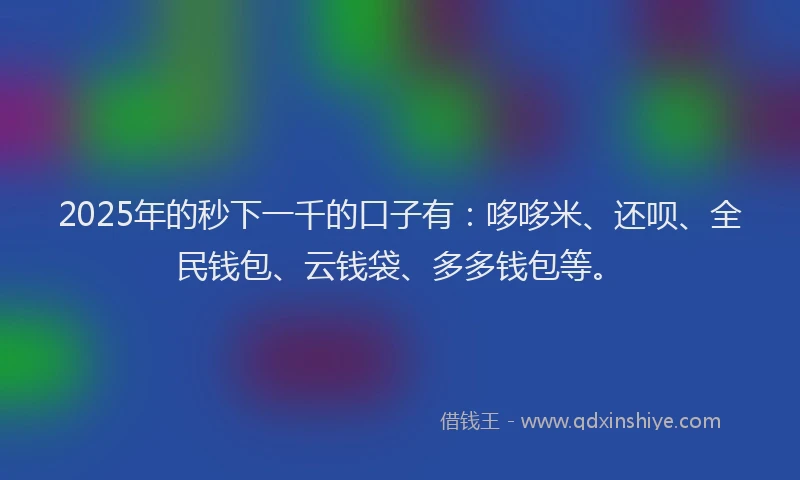 2025年的秒下一千的口子有：哆哆米、还呗、全民钱包、云钱袋、多多钱包等。