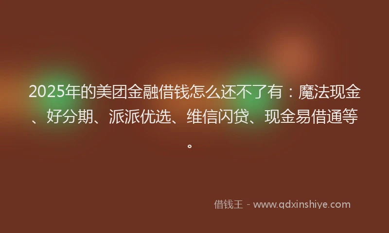 2025年的美团金融借钱怎么还不了有：魔法现金、好分期、派派优选、维信闪贷、现金易借通等。