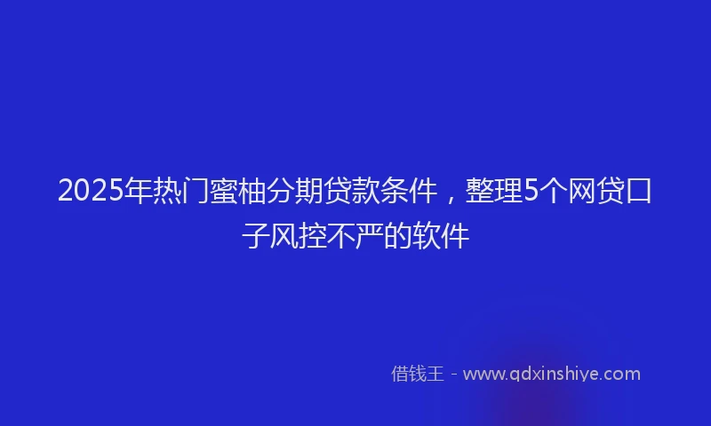 2025年热门蜜柚分期贷款条件，整理5个网贷口子风控不严的软件