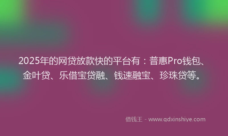 2025年的网贷放款快的平台有：普惠Pro钱包、金叶贷、乐借宝贷融、钱速融宝、珍珠贷等。