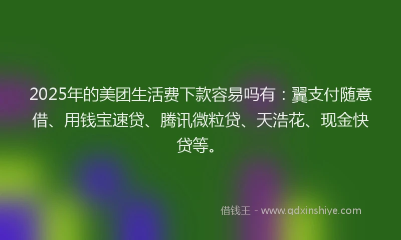 2025年的美团生活费下款容易吗有：翼支付随意借、用钱宝速贷、腾讯微粒贷、天浩花、现金快贷等。