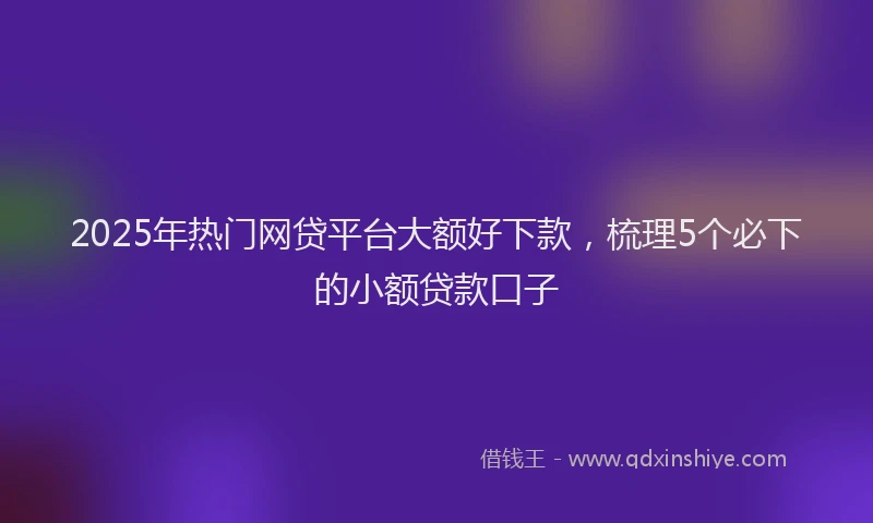 2025年热门网贷平台大额好下款，梳理5个必下的小额贷款口子