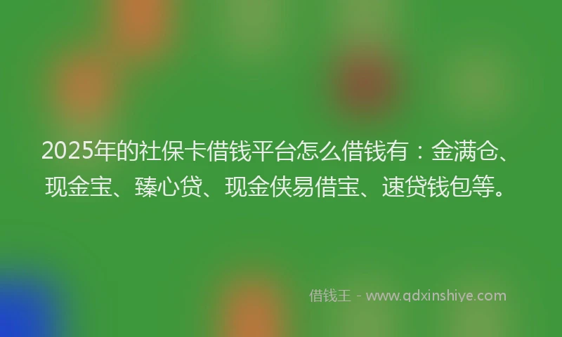 2025年的社保卡借钱平台怎么借钱有：金满仓、现金宝、臻心贷、现金侠易借宝、速贷钱包等。