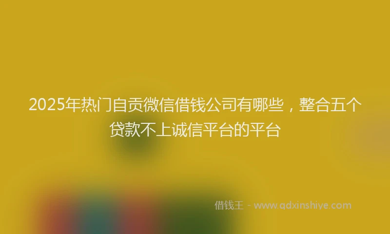 2025年热门自贡微信借钱公司有哪些，整合五个贷款不上诚信平台的平台