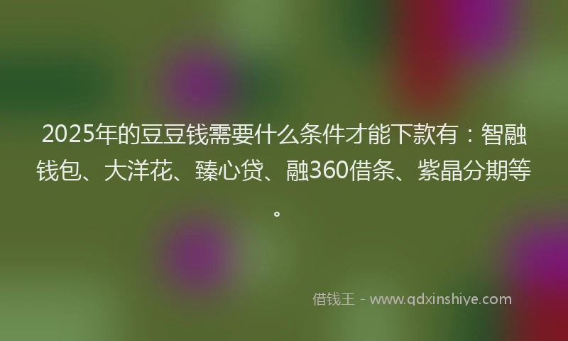 2025年的豆豆钱需要什么条件才能下款有：智融钱包、大洋花、臻心贷、融360借条、紫晶分期等。