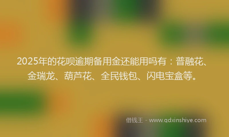 2025年的花呗逾期备用金还能用吗有：普融花、金瑞龙、葫芦花、全民钱包、闪电宝盒等。