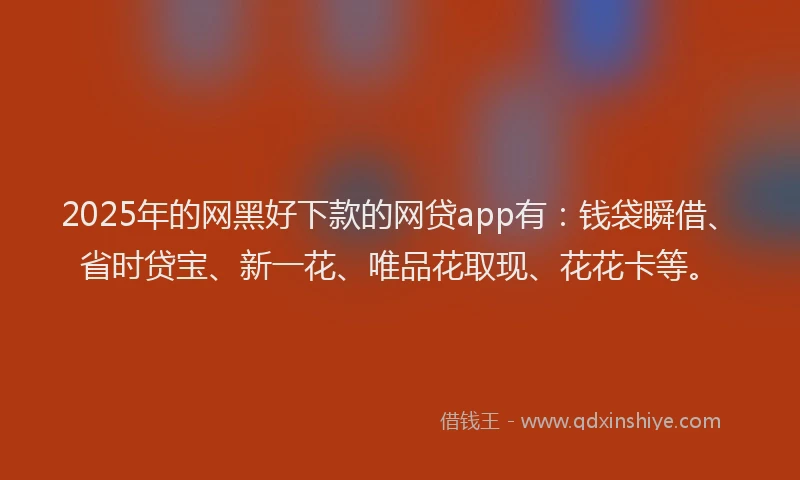 2025年的网黑好下款的网贷app有：钱袋瞬借、省时贷宝、新一花、唯品花取现、花花卡等。