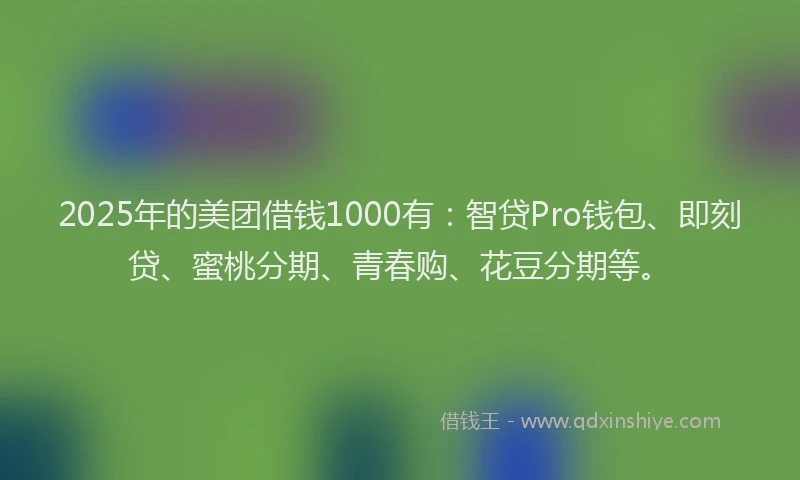 2025年的美团借钱1000有：智贷Pro钱包、即刻贷、蜜桃分期、青春购、花豆分期等。