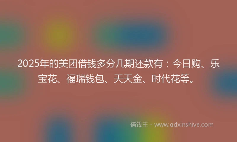 2025年的美团借钱多分几期还款有：今日购、乐宝花、福瑞钱包、天天金、时代花等。