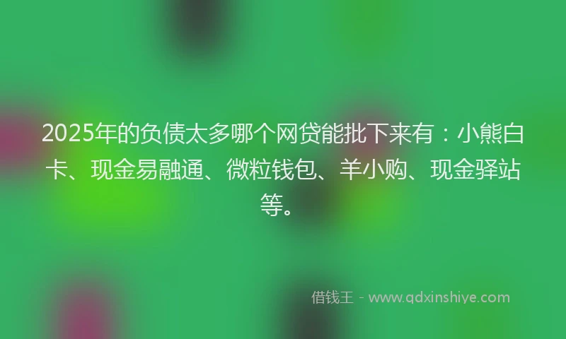 2025年的负债太多哪个网贷能批下来有：小熊白卡、现金易融通、微粒钱包、羊小购、现金驿站等。